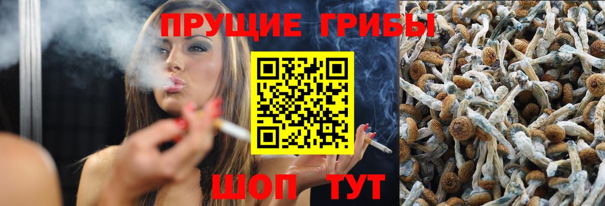 Галлюциногенные грибы Psilocybine cubensis  наркошоп  Новокузнецк  Вход с VPN 